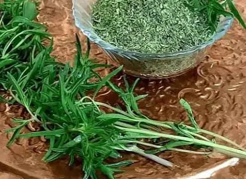 https://shp.aradbranding.com/قیمت خرید سبزی خشک مرزه 100گرمی با فروش عمده